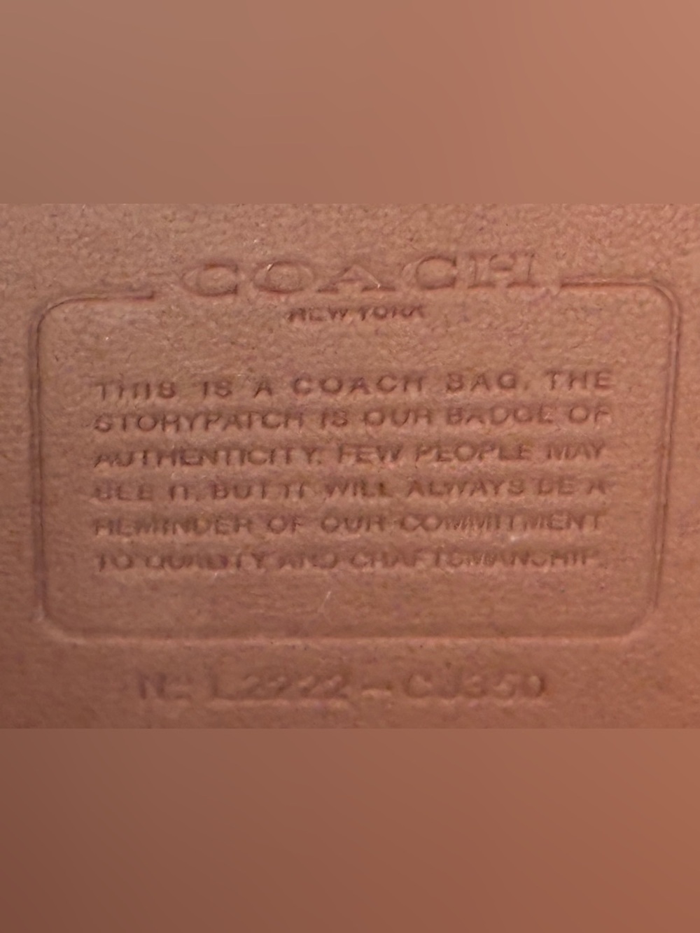 Coach Turquoise Leather C-Logo Chain Crossbody - Picture 11 of 11